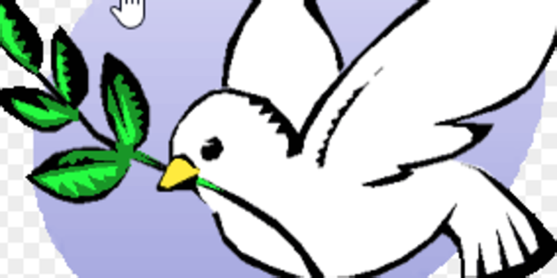 Peace + Social Concerns
